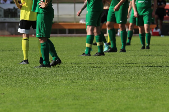 每一个因素 每一个因素