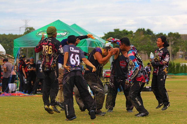 球迷和专家 球迷和专家