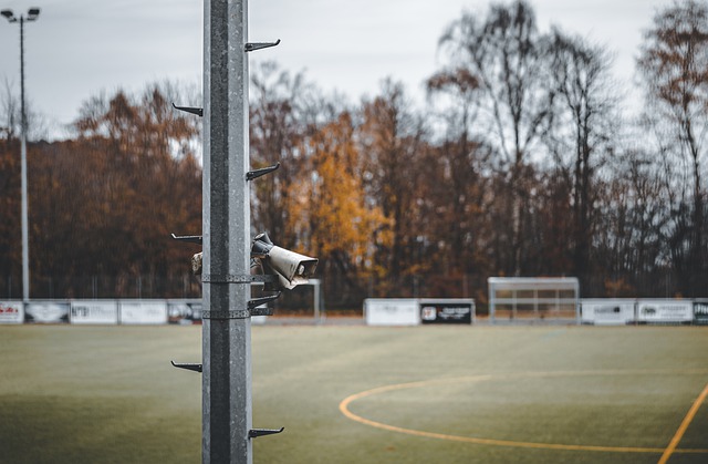 也让他们看 也让他们看