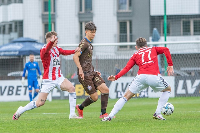 提供创造力 提供创造力