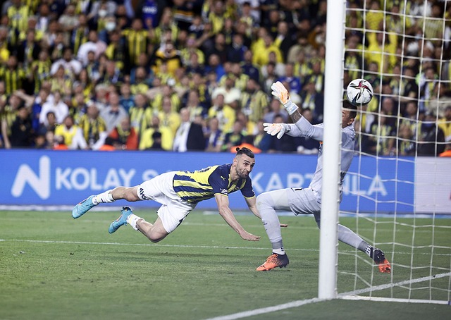 虽贡献了 虽贡献了