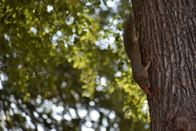 好者的一次 好者的一次