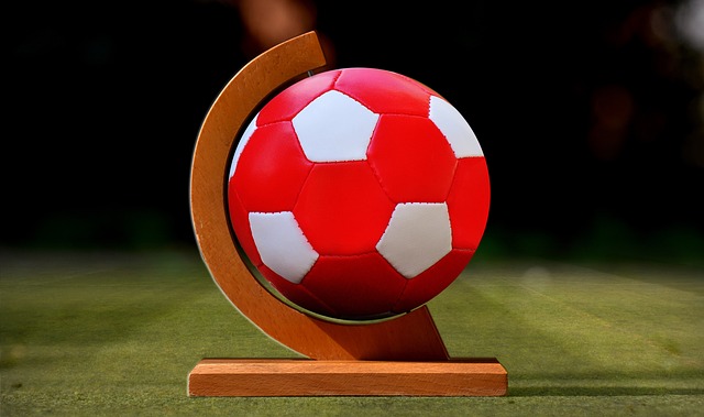 的足球环境 的足球环境