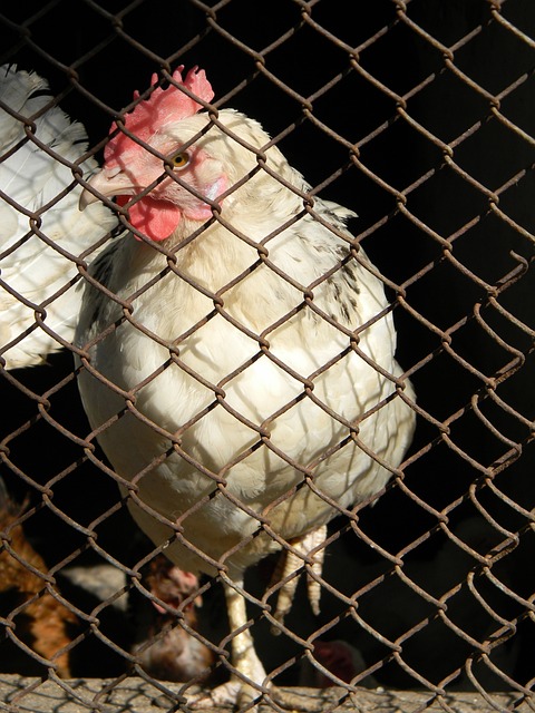 在内的数名 在内的数名