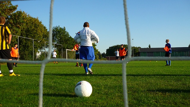 际体育组织 际体育组织